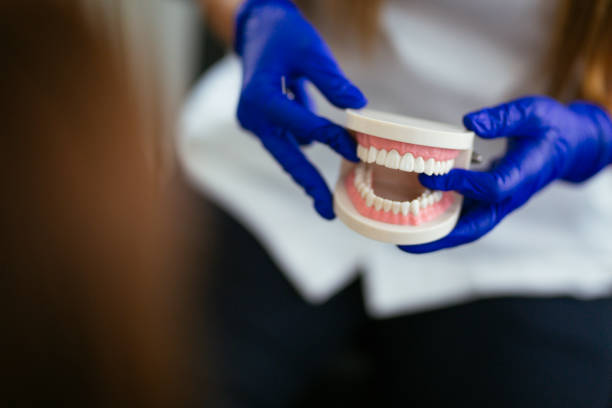 Snyderville, UT Dental Services Company